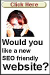seo friendly website